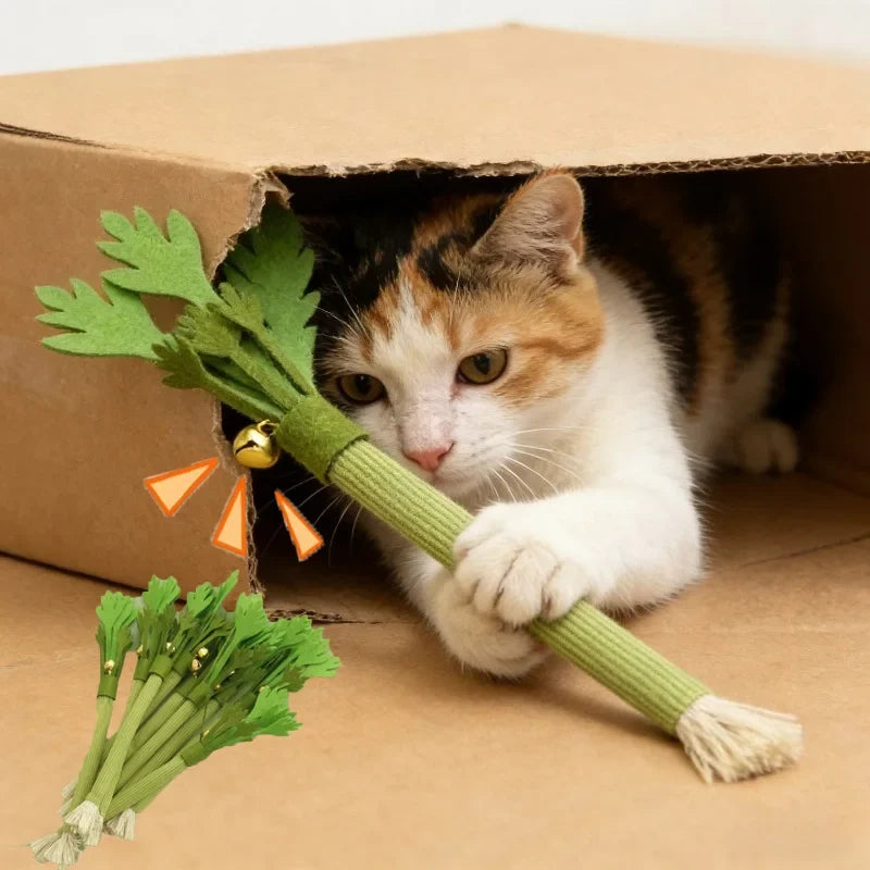 Catnip Molar Stick Chew Toy