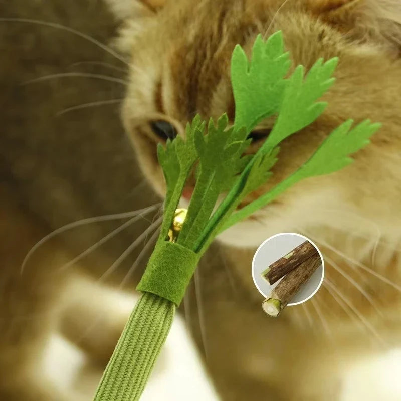 Catnip Molar Stick Chew Toy